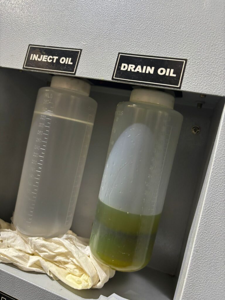 whatsapp image 2026 02 15 at 12.02.25 pm